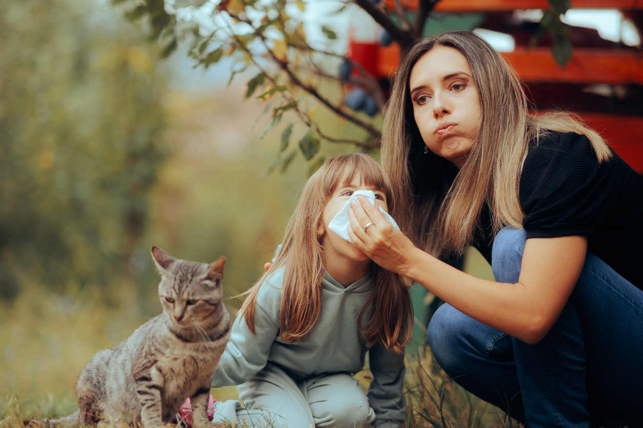 Featured image for Can Allergies Fade on Their Own?